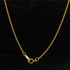 Everyday Chain